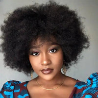 Perruque Afro Femme Pas Cher