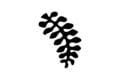 Adwera: Adinkra simbolo di purezza, santità, castità, buona fortuna, consacrazione, pulizia