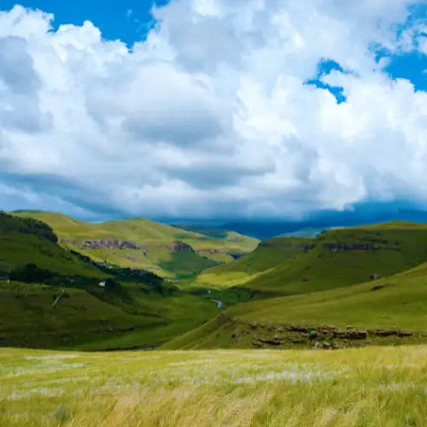 Montañas Drakensberg