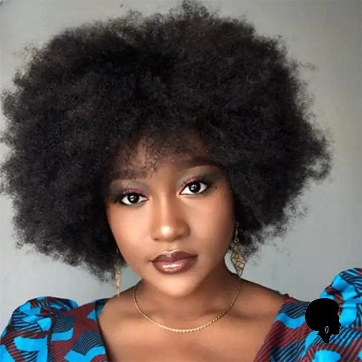 Perruque Afro Femme Pas Cher