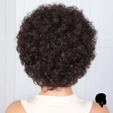 Perruque Afro Courte