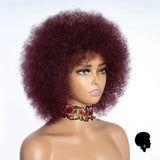 Perruque Afro Pour Femme