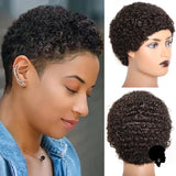 Perruque Cheveux Court Afro