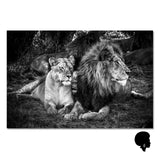 Tableau Animaux Afrique