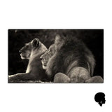Tableau Animaux Afrique